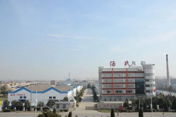 Jiangsu Tangshi Textile Machinery Group company overview - view 1