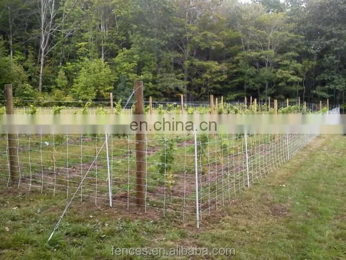 Metal Vineyard Grape Trellis Post