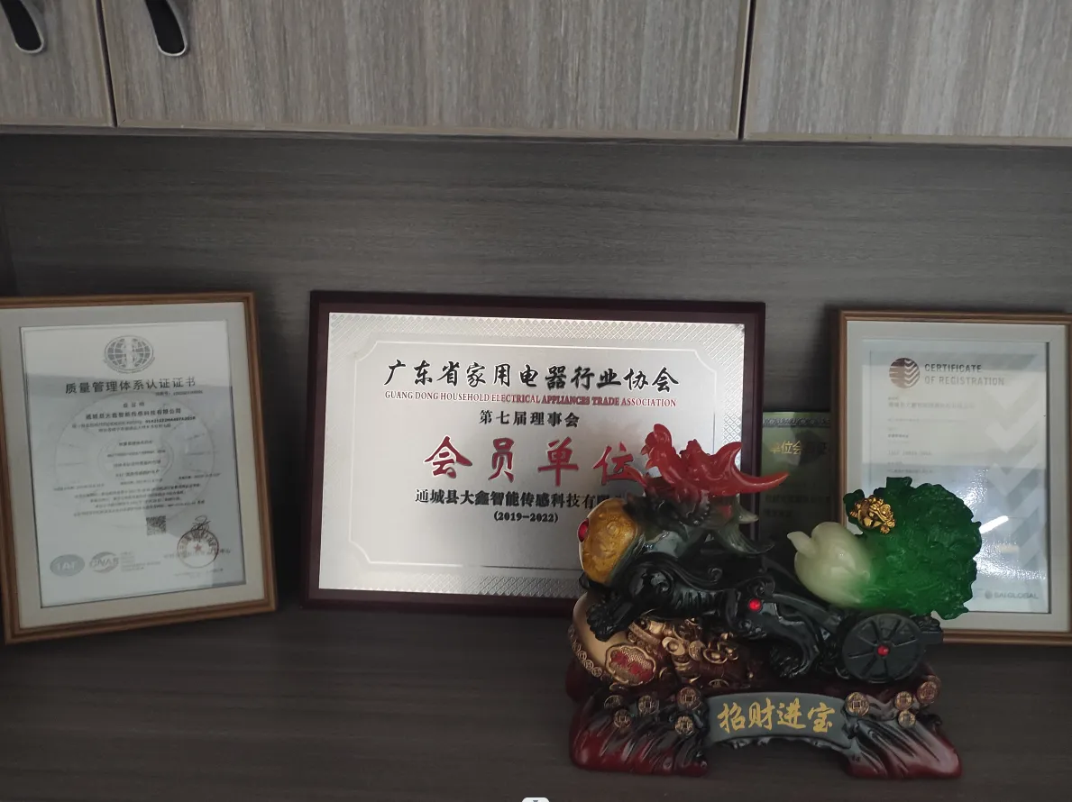 TongCheng DaXin Sensor Technology Co., Ltd company overview - view 2