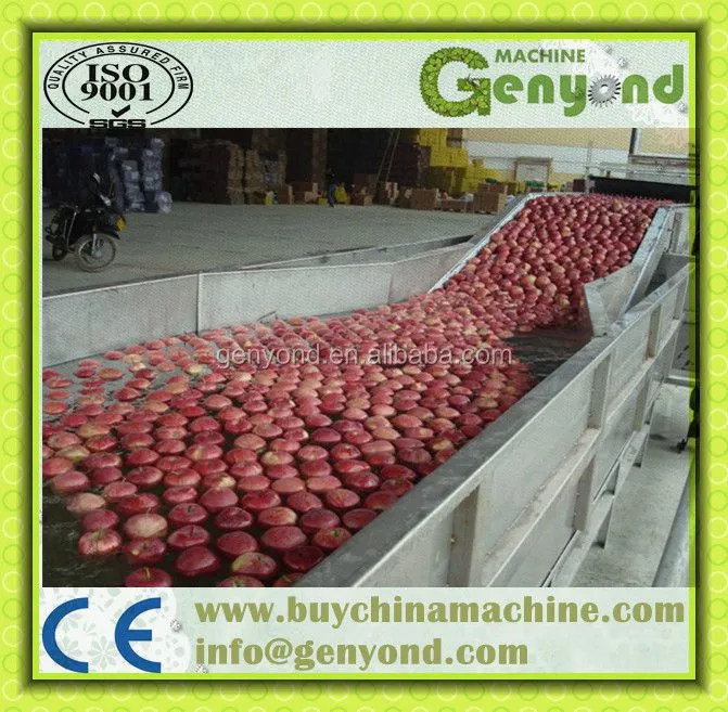 Citrus Waxing Machine Fruit Washing and Waxing Machine Fruit Waxing Machine