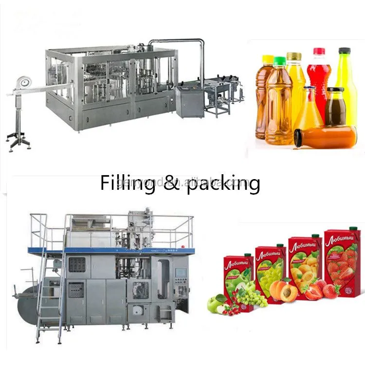 Organic Coconut Water Production Line / Coconut Water Processing Plant