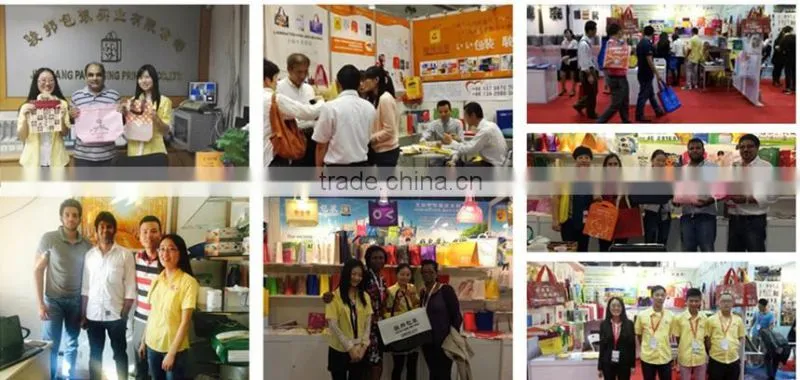Food packaging plastic bag for food package(customize logo/printing plastic food bag)