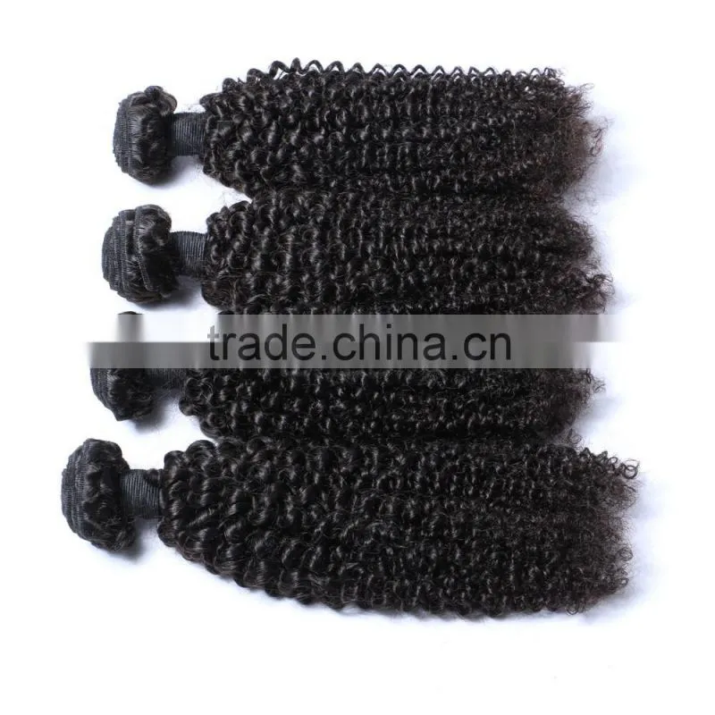 Afro kinky human hair 100% kinky curly xpression hair braids natural curly hair extensions