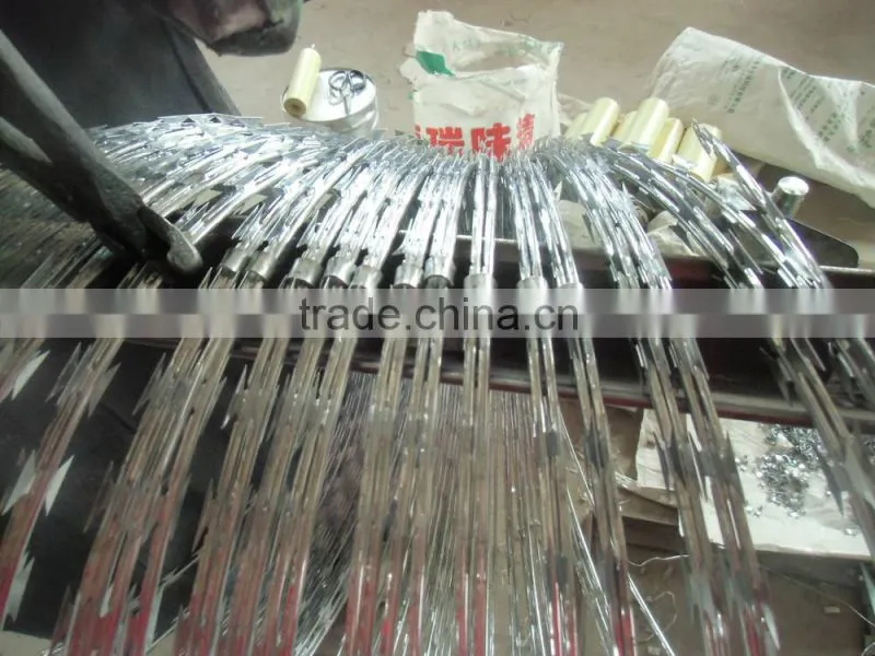 Razor Barbed Wire (15 year factory)