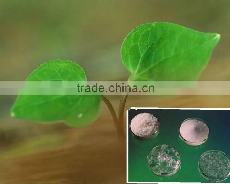 Water absorbent polymer SAP super absorbent polymer for diaper or agriculture