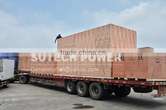 250kva generator set powered by China shangchai engine with low price and good service(hot sale)