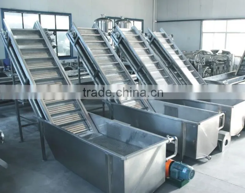 popular market ginger carrot fruit and vegetable juicing machine