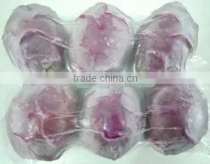 FROZEN LYCHEE FOR SALE