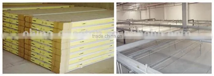 hot sell chill room for meat and fruit