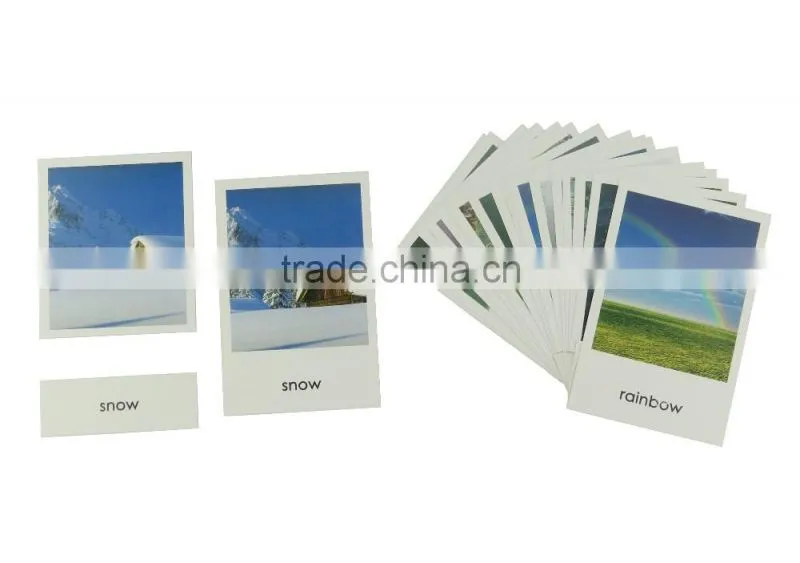 educational toys plastic shapes Weather cards