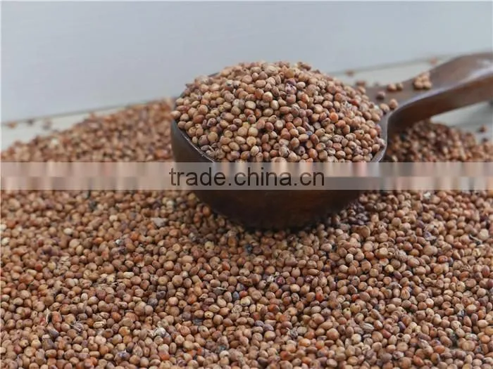 2016 non-GMO Organic glutinous red sorghum sticky sorghum