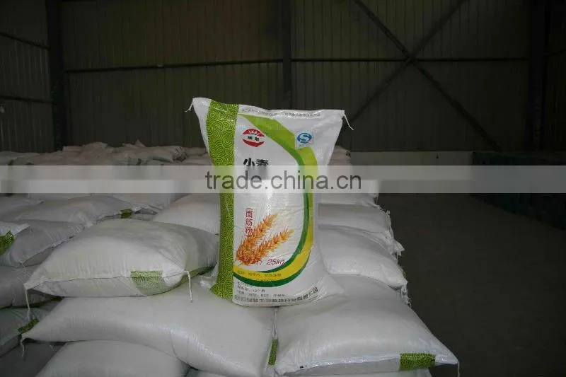 vital wheat gluten