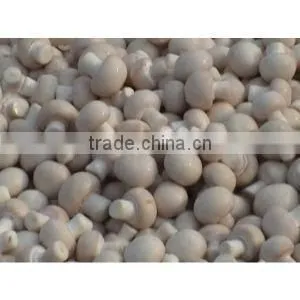 BNP Sells agaricus blazei murill mushroom Capsule