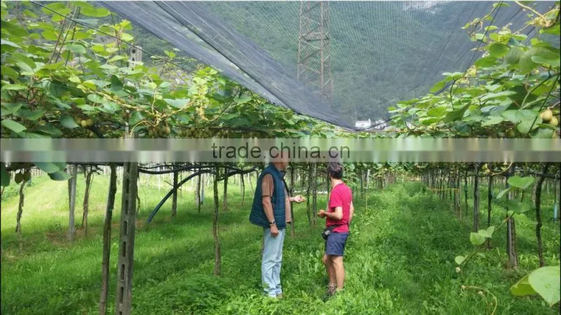 Soluble Humic Acid Power organic Fertilizer price