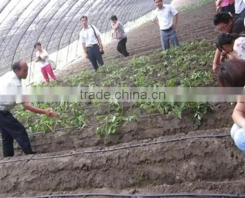 Chinadrip Irrigation Drip Tape Diameter16