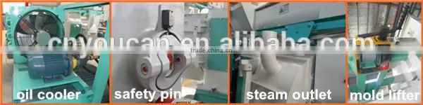 Biomass straw pellet making machine from sawdust, rice husk, peanut shell, waste wood 0086 15515974882