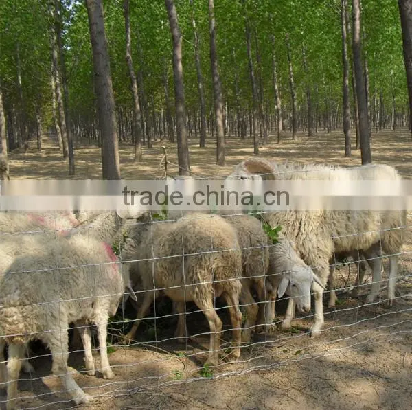 Galvanized steel deer fence, deer farm fencing, deer fencing sale (ISO 9001)
