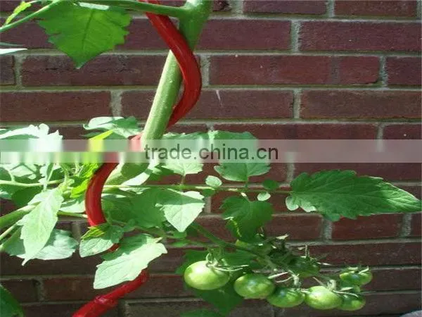 galvanized tomato spiral wire/tomato support wire