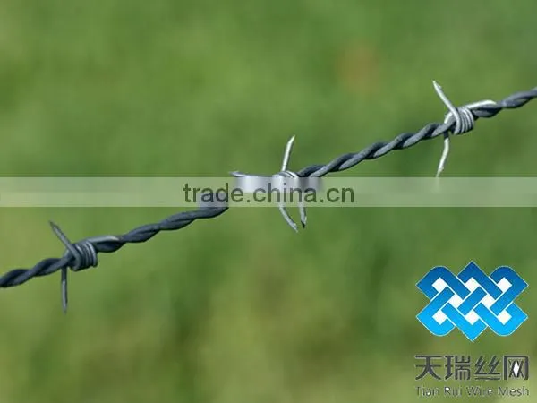 High quality different types of galvanized barbed wire