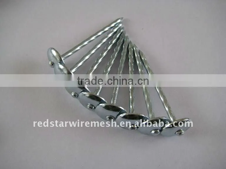 Twist Shank Galvanized Roofing Nails