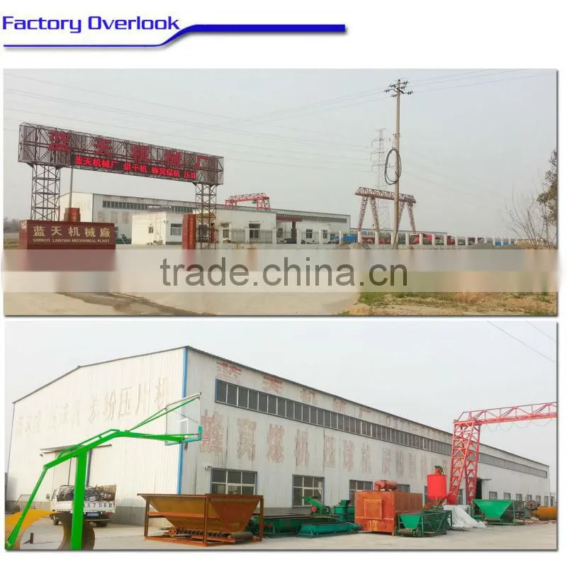 Charcoal Carbon powder briquette machine/coal ball press machine with different shapes