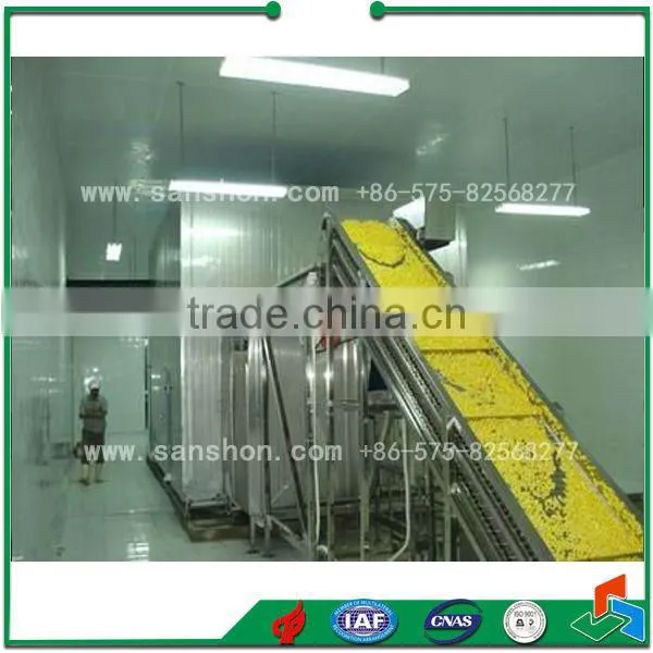 China Blast Freezer,Tunnel Freezer,Quick Freeze Machine