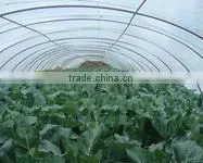 PE plastic film for greenhouse/mulch/construction