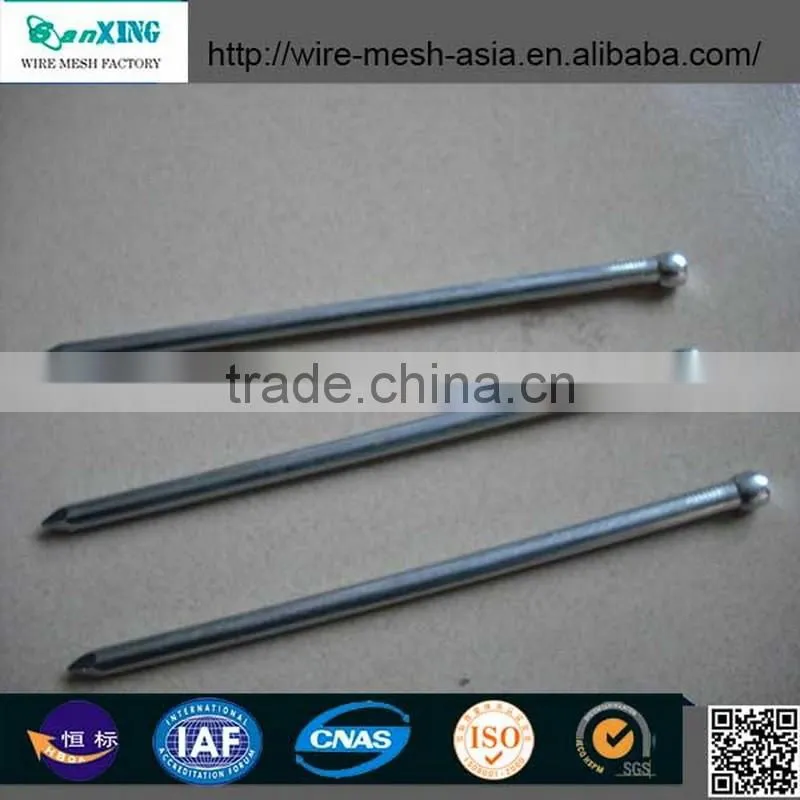 Sanxing common nail one of biggest manufacturer in Anping