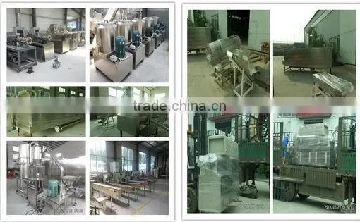 Fully automatic new stainless steel 3D puffed snacks proccessing line