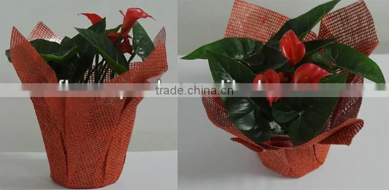PE coated Plant pot cover/planter decorative pot covers