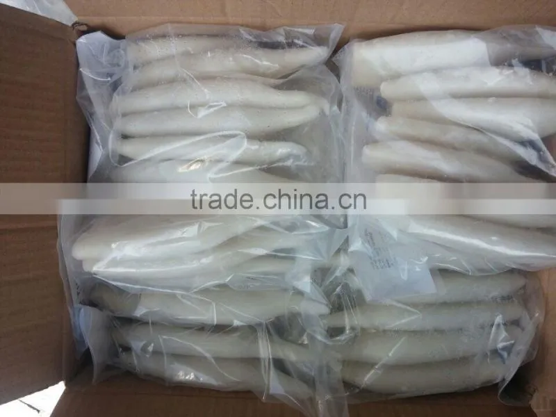 Seafood Frozen Illex Argentina Squid Tube