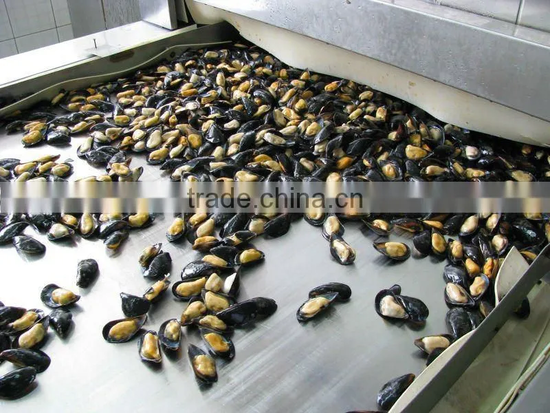 Mussel