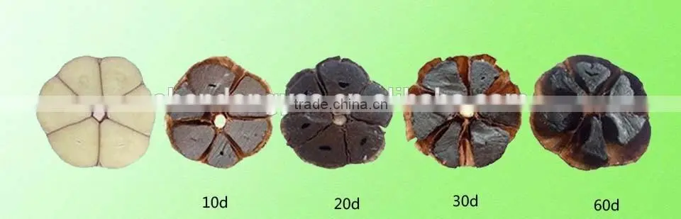 Good Vegetable Product from China Black Garlic