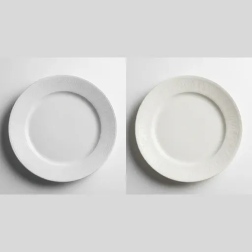 bone china vs porcelain (3)