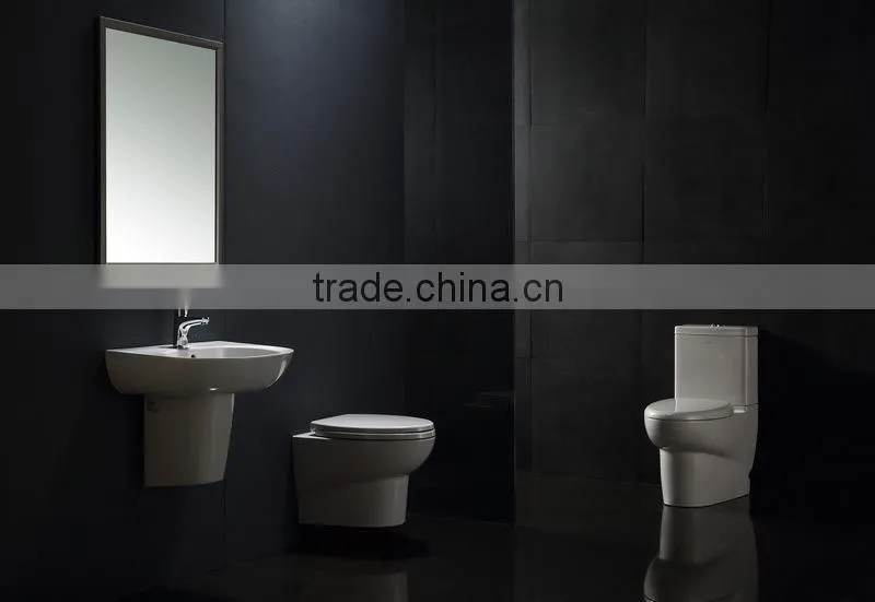 EAGO Ceramic Separate washdown water closet WA379