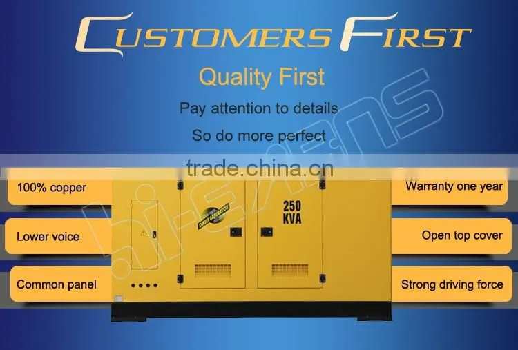 NEW Professional 250KVA Silent Generator With high quality Engine