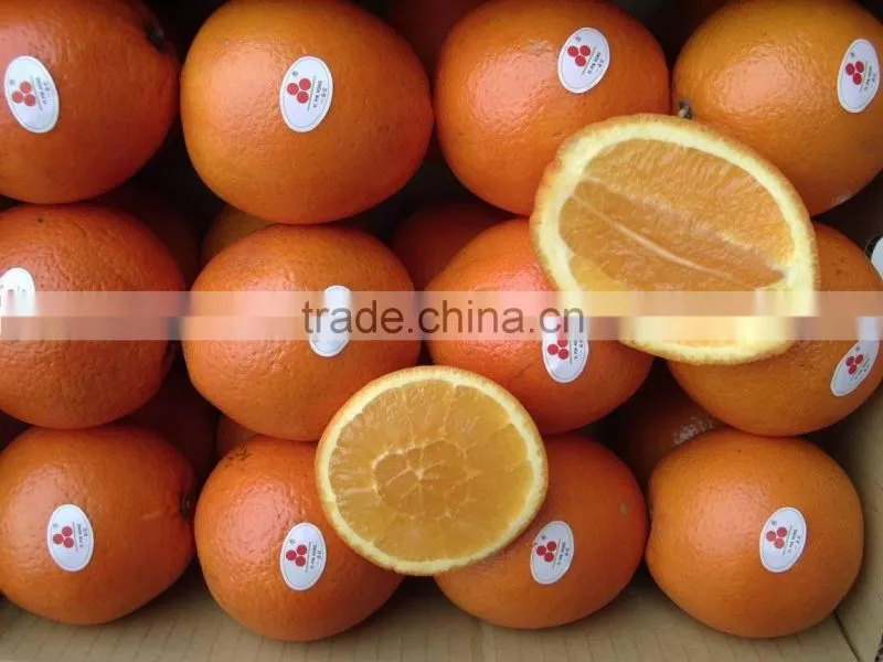 Best Navel Orange