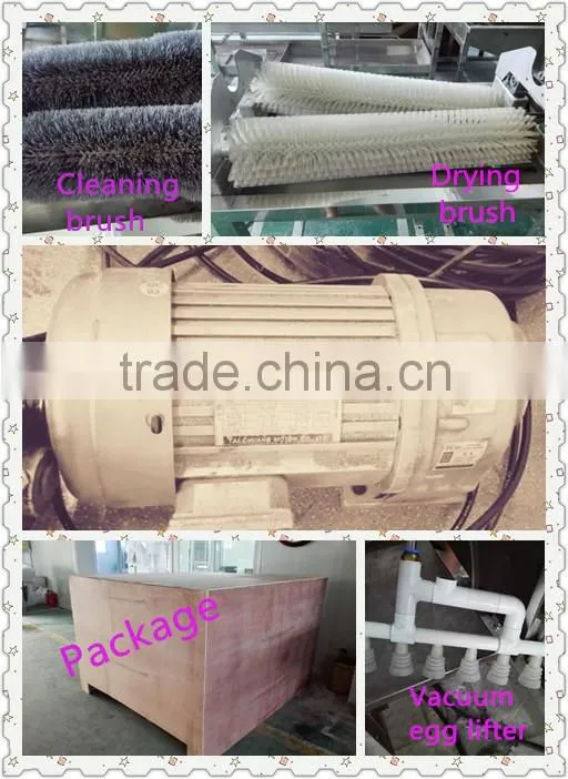 worldwide egg farms use egg grading cleaning automatic packing machine