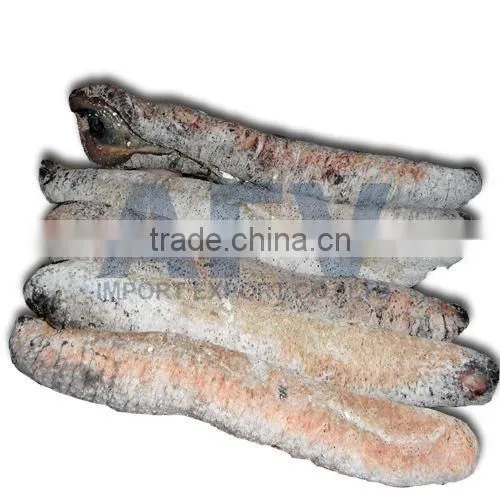 Dry Sea Cucumber Vietnam, Lolly Fish, Holothuria Atra