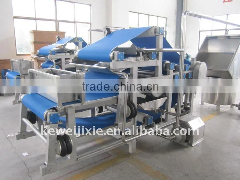 19 tons apple belt type juicing machine