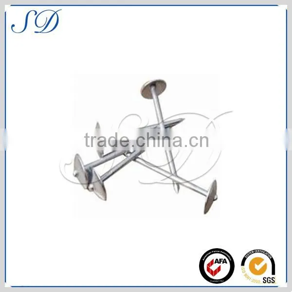 High quality nail from China supplier