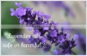 100% Pure & Natural, Lavender Oil, GMP / ISO