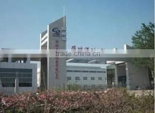 Shengrui Transmission Corporate Limited company overview - view 3