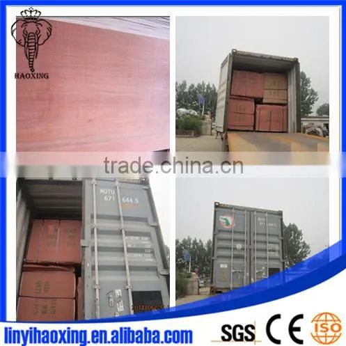 bleached poplar plywood to India buyer with alibaba trade assurance