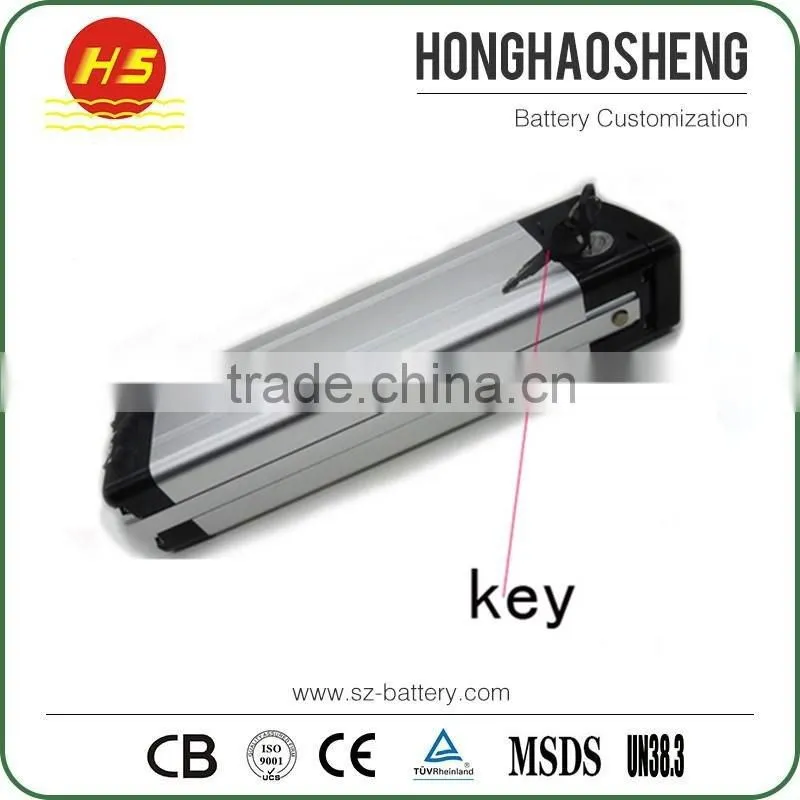 Deep Cycle Rechargeable 18650 Li-Ion 20Ah 36v Lithium Ion Battery Pack For Ebike
