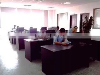 Zhuhai Shengdian Electronics Co., Ltd. company overview - view 1