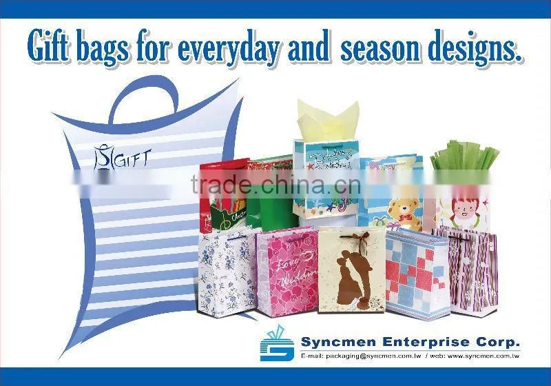 Luxury Art Paper Gift Bag