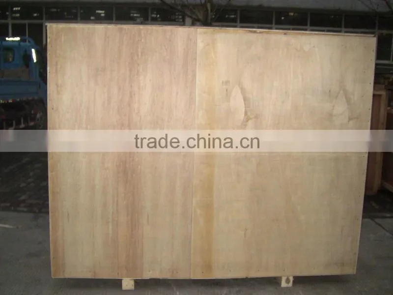LHSM-11 New Steamed Stuffed Bun making machine