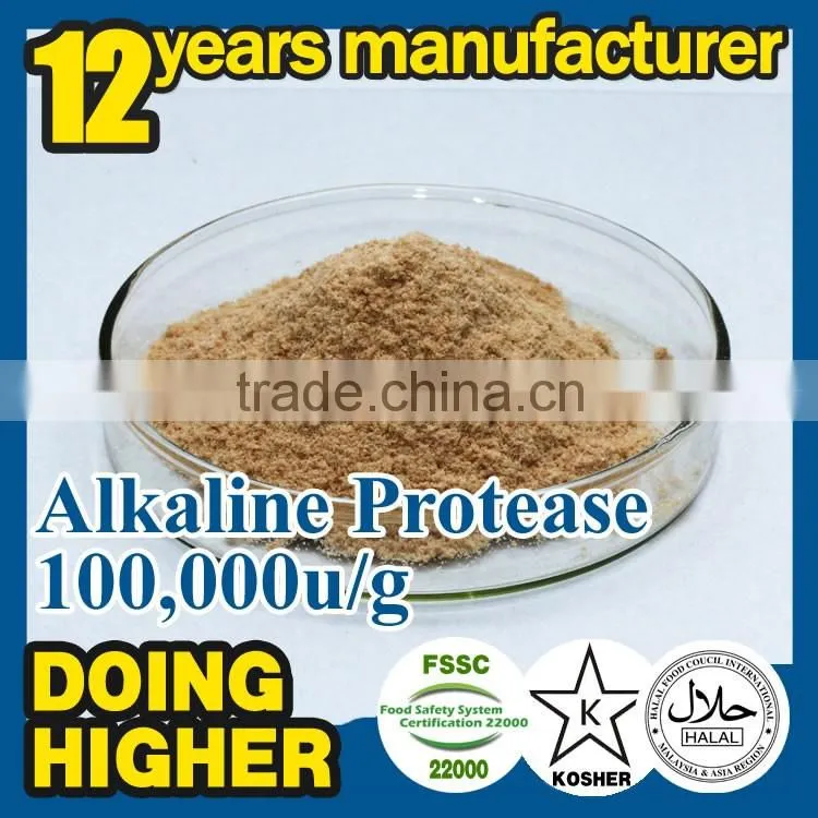 Alkaline protease apply to membrane washing detergent protease alkaline enzyme washing alkaline enzyme