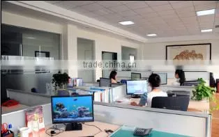 Taizhou ING Trading Co., Ltd. company overview - view 3